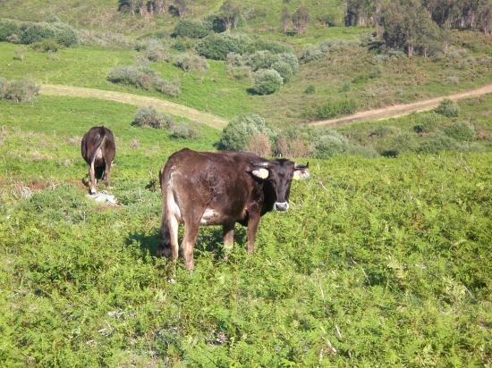 Grupo de Investigación en Economía Ecolóxica, Agroecoloxía e Historia